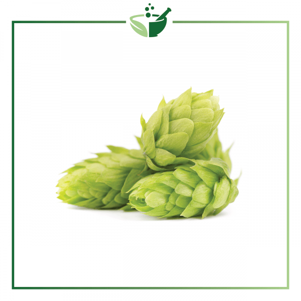 Hops Essential Oil-01
